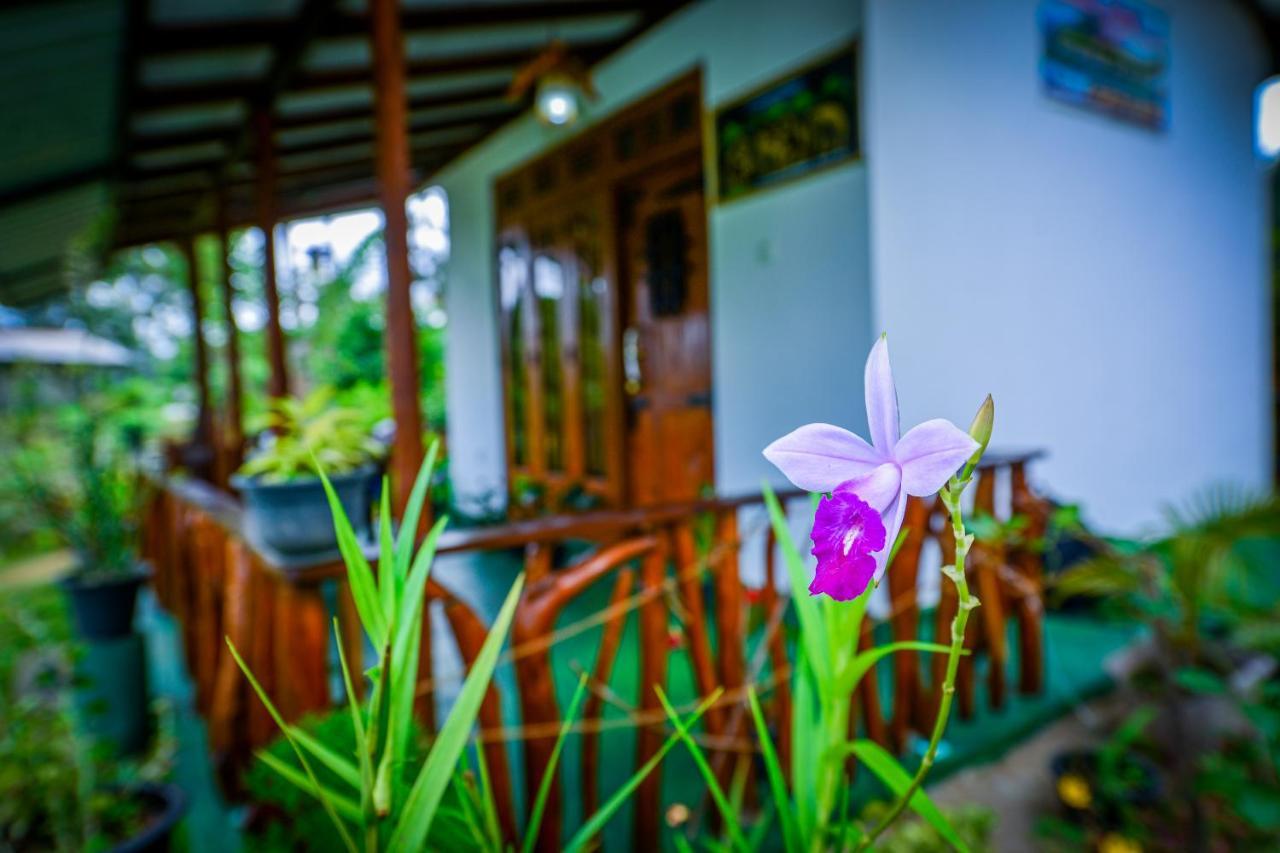 Astral Zone Cottage Ella Exterior photo